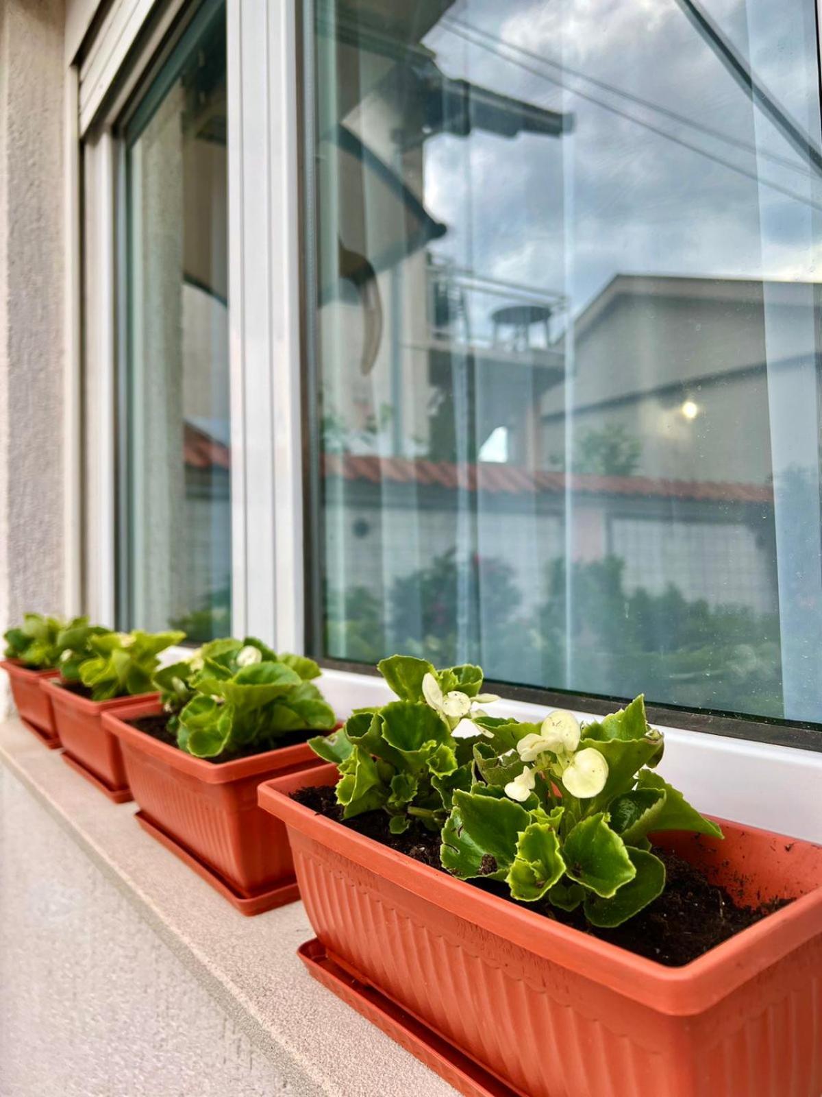 New Luxe Apartments Mostar Ngoại thất bức ảnh
